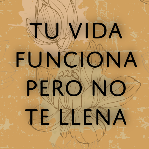 tu vida funciona pero no te llena